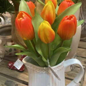 Tulipano fascio 7 fiori h30cm orange Pattycrea